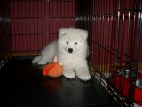 IMGP0324.JPG