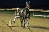 koers 2-Daily Stardust3.jpg