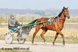 _MBF6009.jpg
