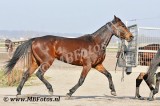 _MBF6090.jpg