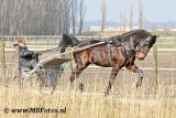_MBF6097.jpg