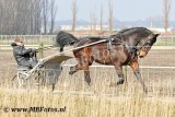 _MBF6098.jpg