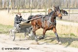 _MBF6172.jpg