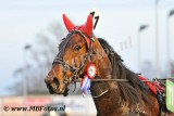 Koers 4. Dex Newport4.jpg