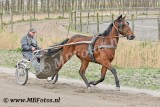 _MBF7787.jpg