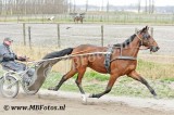 _MBF7799.jpg