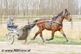_MBF7939.jpg