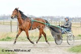 _MBF7975.jpg