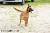 _MBF8027.jpg