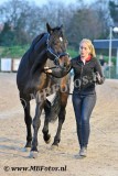 Capetown Hall2.jpg
