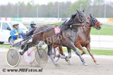 Koers 3. Suncy of Carless1.jpg