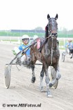 Koers 3. Suncy of Carless3.jpg