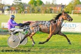 Koers 10. Apache Wolfhorn1.jpg