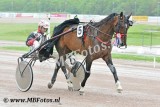 Koers 5. Petit Javanais3.jpg