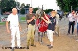 Koers 8. Zilver Sycamore3.jpg