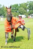 Koers 2. Beauty Kingsdeep2.jpg