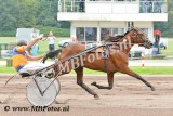 Koers 9. Elegance Fanatic2.jpg