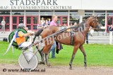 Koers 9. Elegance Fanatic4.jpg