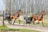 _MBF1168.jpg