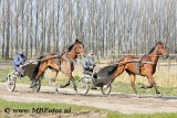 _MBF1170.jpg