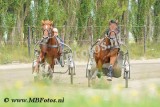 _MBF8447.jpg