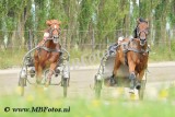 _MBF8449.jpg
