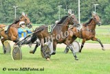Koers 9. Suncy of Carless.jpg