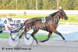 Koers 9. Diamond1.jpg