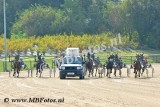 _MBF8094.jpg