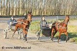 _MBF7475.jpg