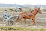 _MBF0756.jpg