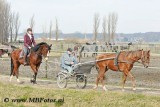 _MBF0780.jpg