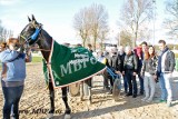Koers 10. Black Pearl2.jpg