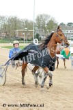 Koers 3. Eye of the tiger3.jpg