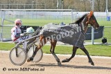 Koers 4. Beatrice Boko3.jpg