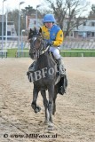 Koers 8. Cooper Star3.jpg