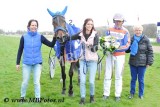 koers 2. Mountain Rose3.jpg