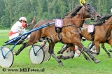 Koers 8. Adelaar1.jpg
