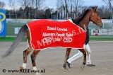 Paradepaard2.jpg