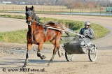 _MBF7948.jpg