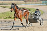 _MBF7990.jpg