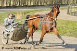 _MBF8067.jpg