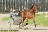 _MBF0533.jpg