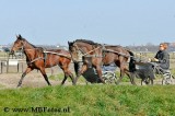 _MBF0663.jpg