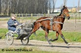_MBF0706.jpg