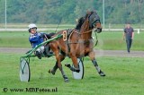 Koers 11. Albert1.jpg