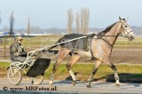 _MBF7170.jpg