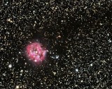 Cocoon Nebula for January