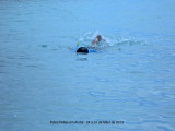 Thiago esnorqueando em Baby Beach Aruba