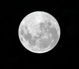 20140514 11:33 hrs UT, Saturn & moon occultation